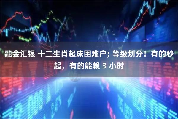 融金汇银 十二生肖起床困难户; 等级划分！有的秒起，有的能赖 3 小时