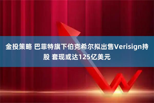 金投策略 巴菲特旗下伯克希尔拟出售Verisign持股 套现或达125亿美元